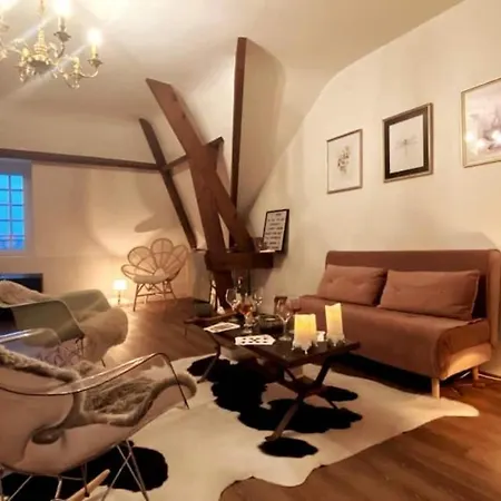Saumur - Downtown - 1Min Walk From The Chateau Lejlighed Saumur